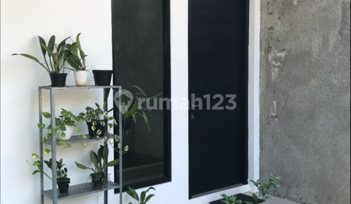 For Rent 2.5 Story House in Angelonia Cluster, Gading Serpong 2