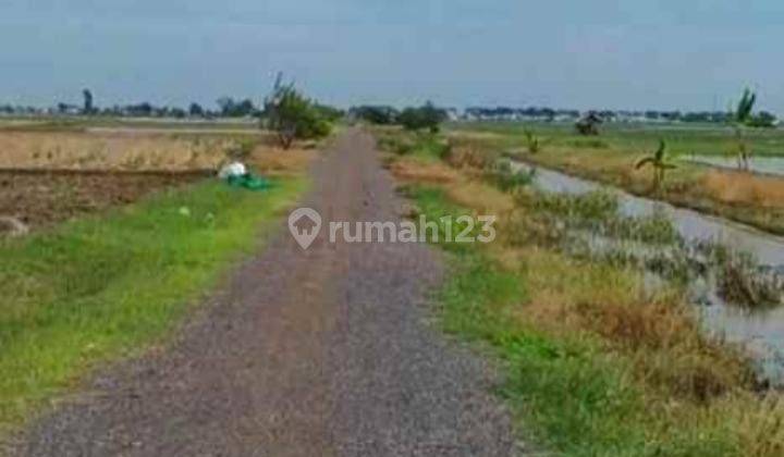 Tanah 2Ha Di Subang Siap Bangun Pabrik Gudang Tempat Usaha 1