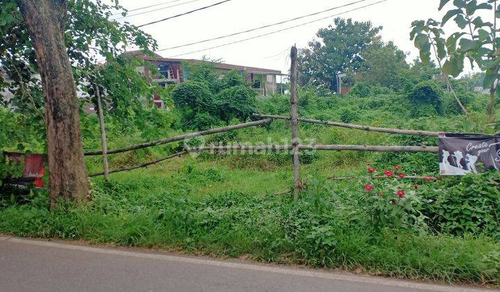 Tanah Sulfat Prospek Segala Usaha