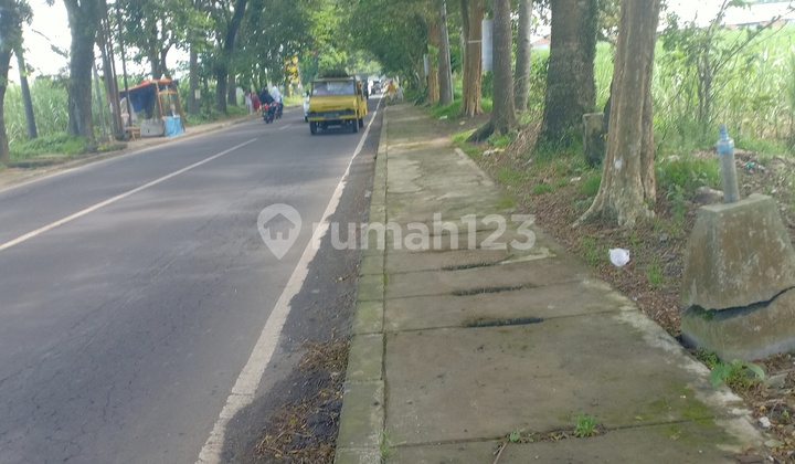 Tanah Poros Perbatasan Mayjend Sungkono Kedung Kandang 1
