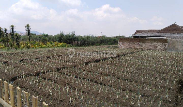 Bu Jual Cepat Tanah Kebun Sayur Dekat Jalan Aspal Akses Mobil 2