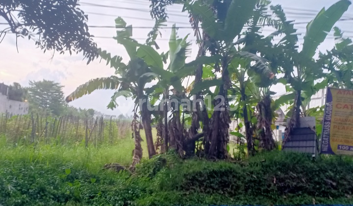 Tanah Poros Jalan Mayjend Sungkono Gor Ken Arok Kedung Kandang 2