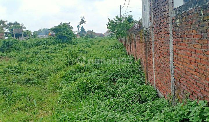 Tanah Sulfat Prospek Segala Usaha