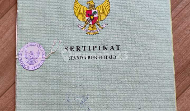 Active Kost 9 Rooms + 2 Houses for Sale Buc 2