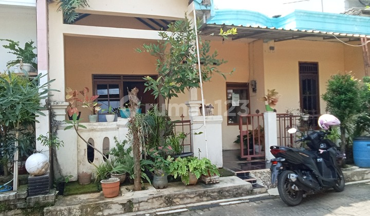 450 million still negotiable, in the city center, flood-free 1