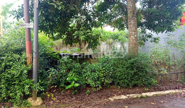 Lahan ,adem,seger Sgt Bagus Utk Rmh Kost Atau Hunian 1