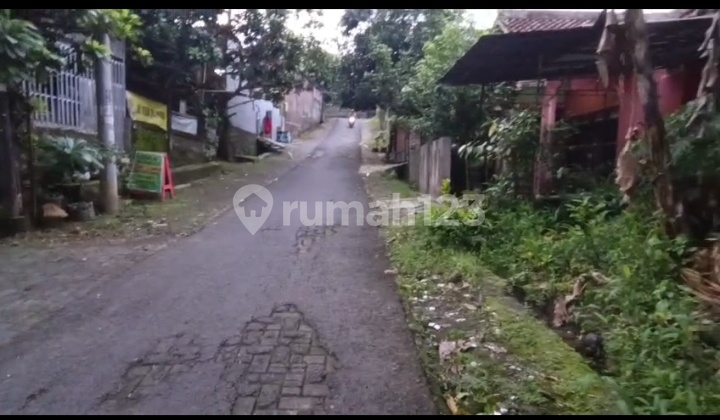 Very Productive Flat Beautiful Land in West Smg City 2