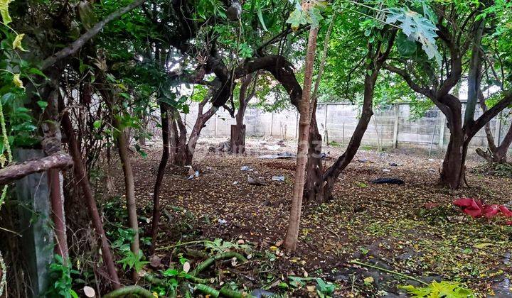 foto lainnya tanah luas cocok untuk cluster