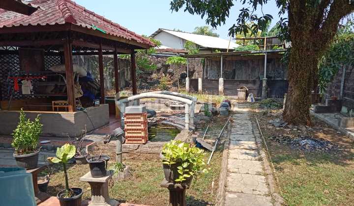 Rumah dengan Pekarangan Luas di Dalam Komplek Kunciran Mas Rumah dengan Pekarangan Luas di Dalam Komplek Kunciran Mas