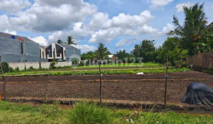 Dijual Tanah di Sepatan Cocok untuk Cluster