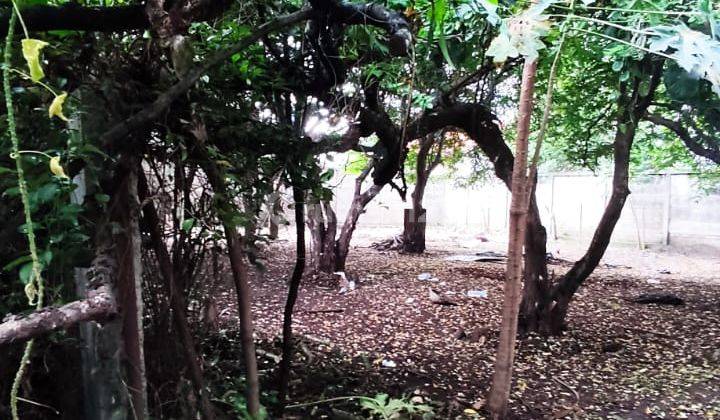 foto lainnya tanah luas cocok untuk cluster