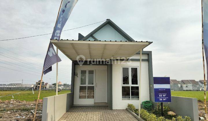  Rumah 1 Lantai Gresik Kota 0 Jalan Raya Kebomas