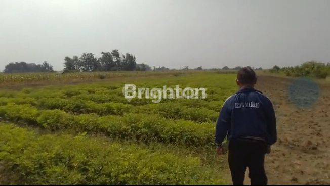 Tanah Untuk Perumahan, Anti Banjir! 2