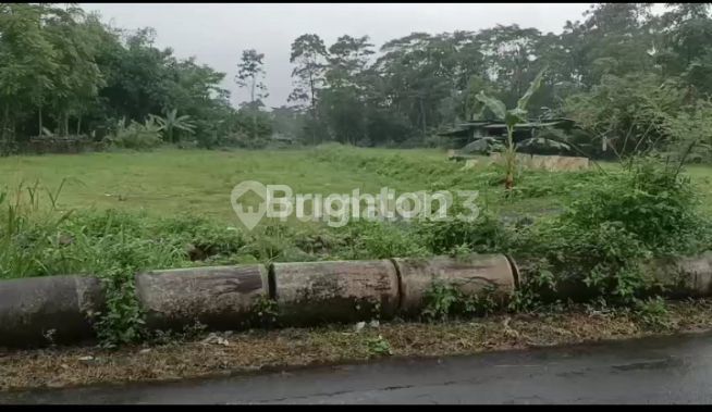 LAND ZONE ORANGE SALATIGA