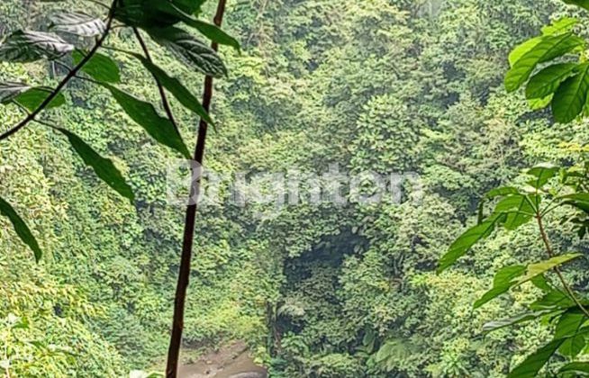 TANAH VIEW AIR TERJUN DI BULELENG - BALI