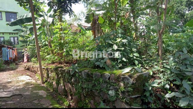 TANAH DI DESA PONGANGAN - GUNUNG PATI 2