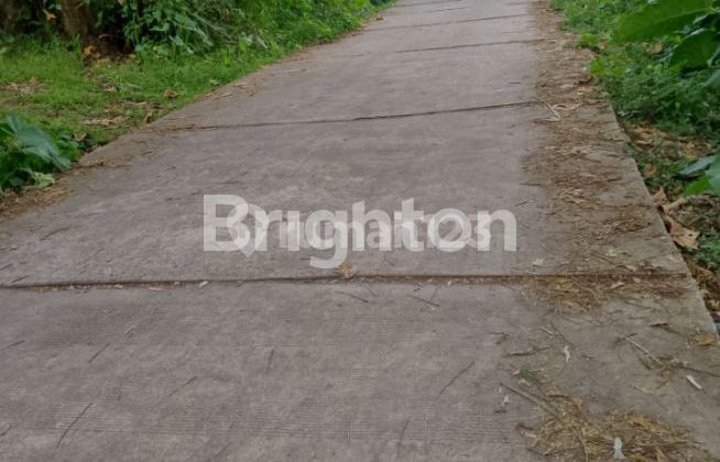 JUAL TANAH ZONA MERAH SALATIGA