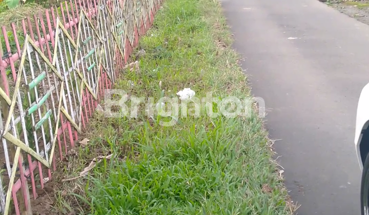 MURAH TANAH ZONA MERA SALATIGA