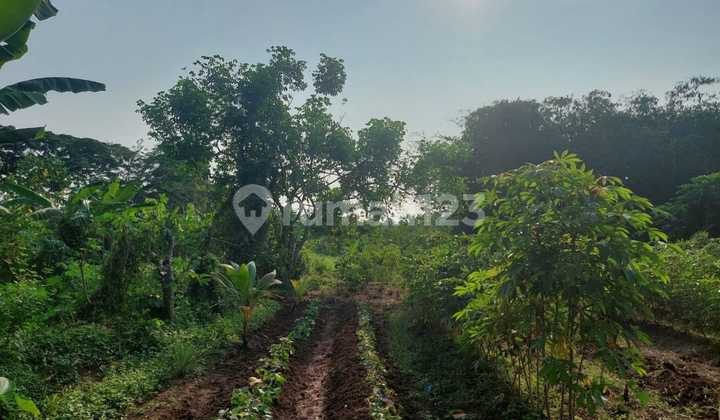 Inland Land in Tigaraksa near Takara Golf, Tangerang