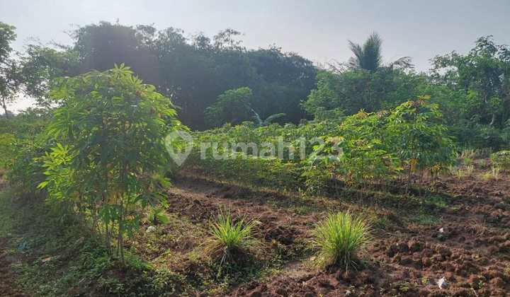 Inland Land in Tigaraksa near Takara Golf, Tangerang