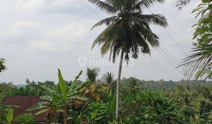 Tanah SHM Pekarangan 2000 m² Murah di Nanggulan Kulonprogo 1