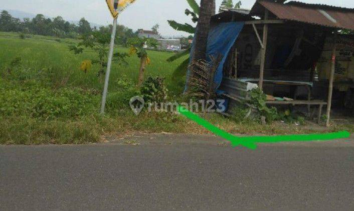 Tanah SHM Sawah 669 m² Mangku Jalan Raya Dekat Rumah Dinas Bupati Bantul 1