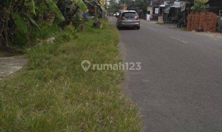 Tanah SHM Sawah 669 m² Mangku Jalan Raya Dekat Rumah Dinas Bupati Bantul 2