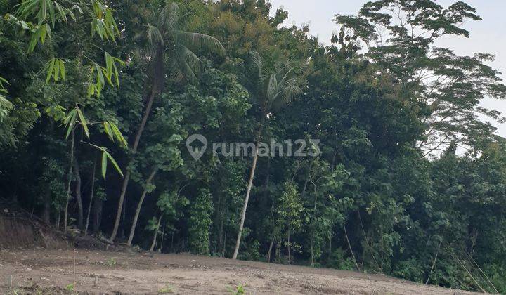 Tanah SHM Pekarangan 2000 m² Murah di Nanggulan Kulonprogo 2