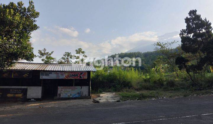 DI  TANAH DAERAH VILLA HORTENSIA TRAWAS DENGAN VIUW GUNUNG DI TRAWAS 1