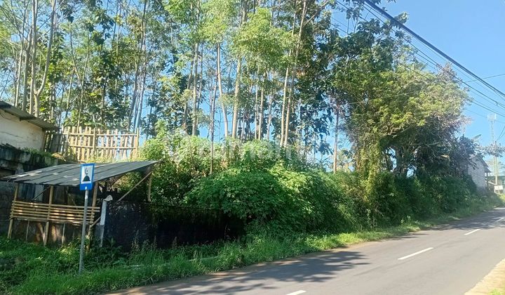 Tanah Luas View Gunung Pinggir Jalan Raya 2 Muka 8000 M SHM Jalur Wisata di Beseran Kaliangkrik Kab Magelang Tanah Luas View Gunung Pinggir Jalan Raya 2 Muka 8000 M SHM Jalur Wisata di Beseran Kaliangkrik Kab Magelang