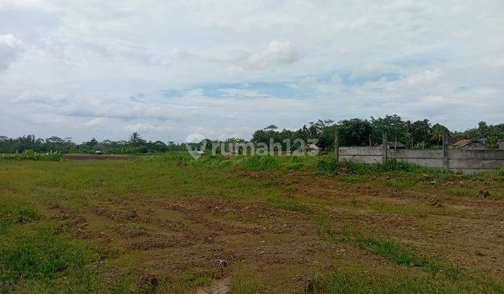 Dijual / sewa Tanah 11000 m2 SHM Tegalrejo, Magelang 1