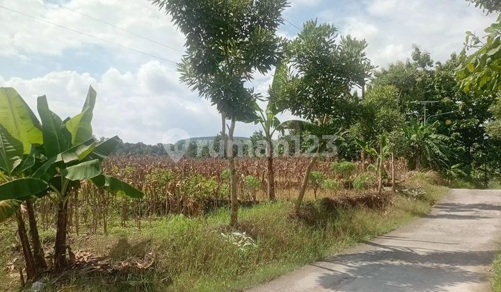 Tanah di Kab Semarang Dekat Wisata Air Pesona Garda 12520 M² SHM 2