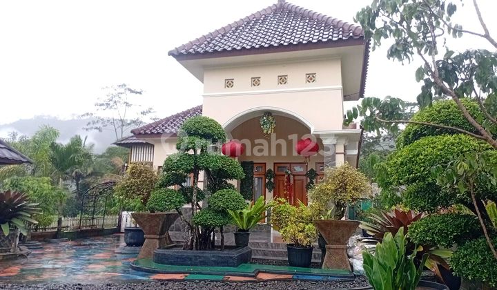 Dijual Rumah Villa Cantik Dekat Nepal Van Java View Sawah dan 4 Gunung Kabupaten Magelang Luas 842M2 SHM