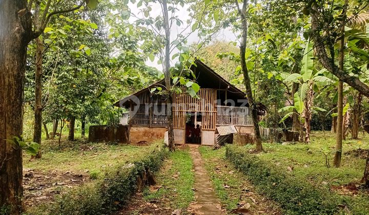 Homestay Villa Rumah Joglo Mbah Guru Bagus Shm Di Jl. Mgr. Sugiyopranata No.4, Ngampin, Ambarawa, Semarang, Jawa Tengah, Indonesia, 50614, Ambarawa