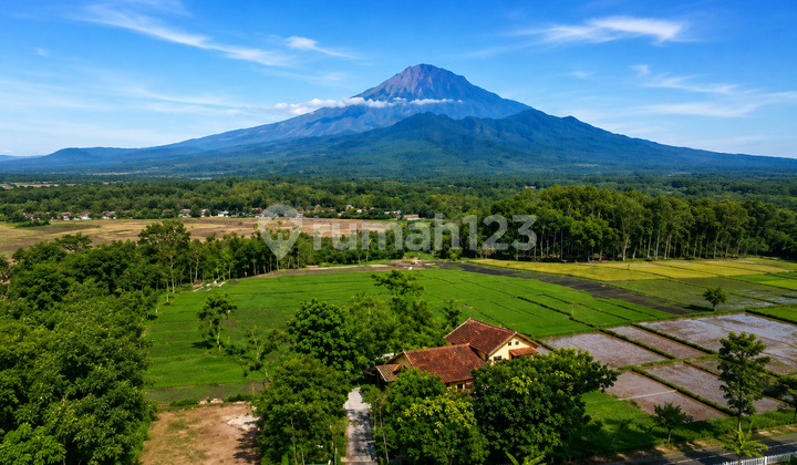 Villaview Mountain House in Magelang City Villaview Mountain House in Magelang City