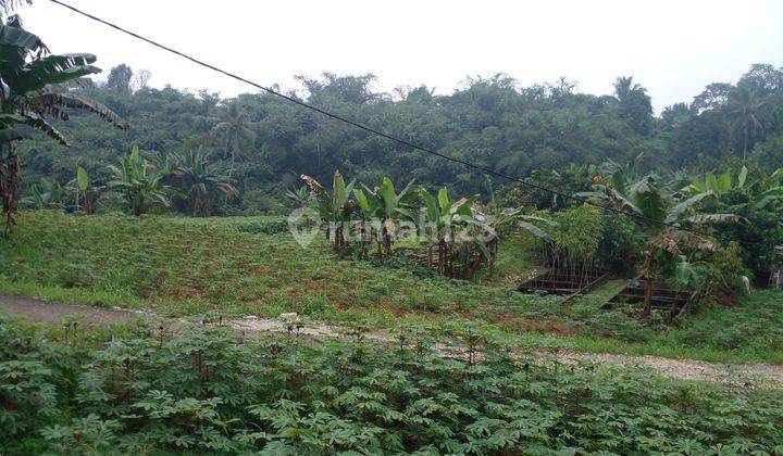 Tanah di Bogor Dekat Kantor Balai Desa Benteng Ciampea SHM  1