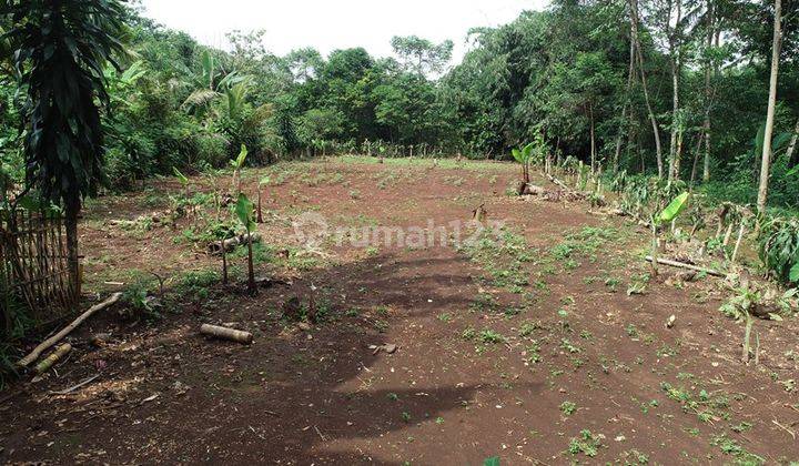 5 Menit Pasar Tradisional Gobang Legalitas SHM Pecah unit 2