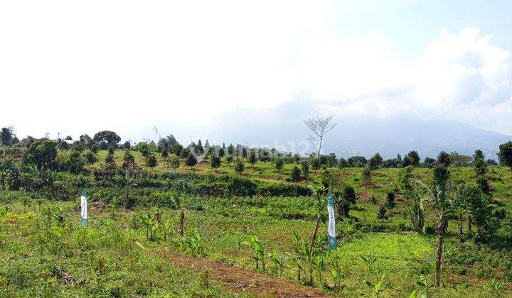 Lahan Tanah Ekslusif Pusat Destinasi Wisata  2