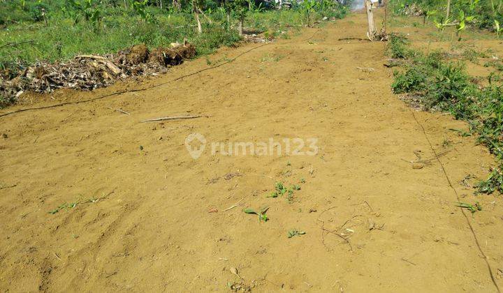 Tanah Murah Banyak Aksesnya Di Puncak Bogor