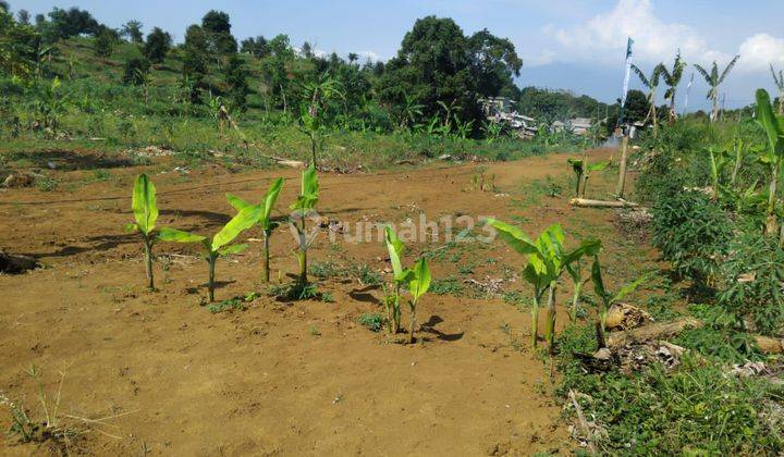 Tanah Murah Banyak Aksesnya Di Puncak Bogor 2