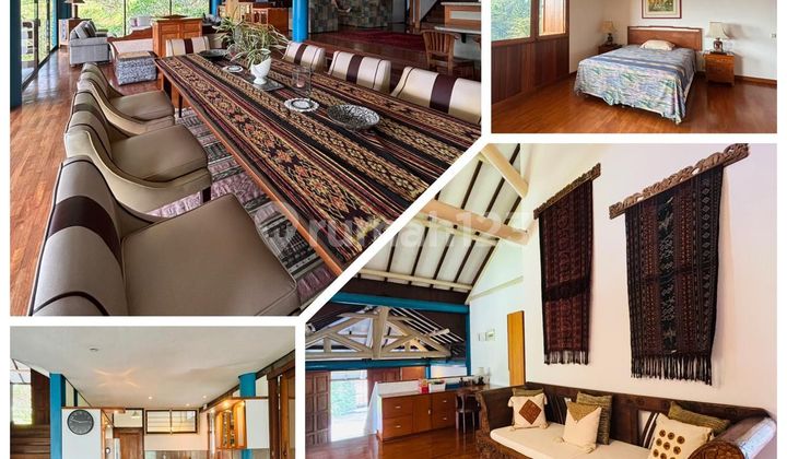 Spectacular Villas And Rice Paddies Fields For Sale In Puncak, Cilember, Cisarua