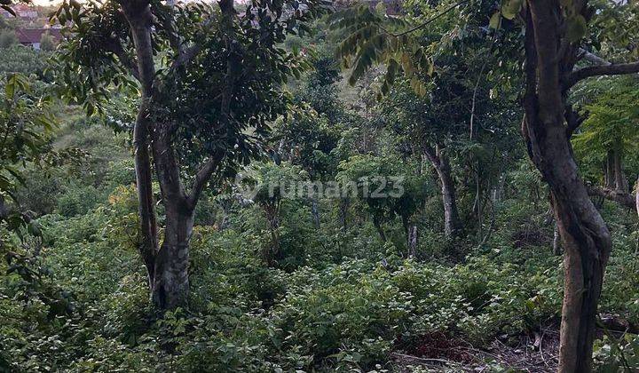 Tanah Lokasi Strategis di Ungasan, Badung, Bali 1