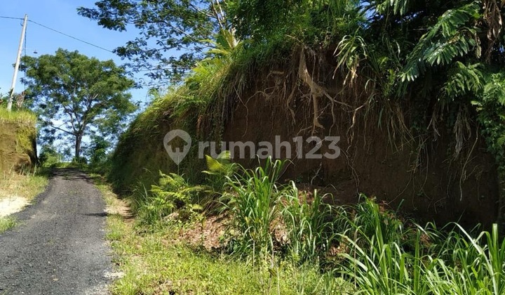 Tanah Pinggir Jalan Baturiti Tanah di Pasar Baturiti Baru, Jl. Pancasari-baturiti, Baturiti, Baturiti, Tabanan, Bali, Indonesia, 82191, Baturiti SHM 3850.0 m²