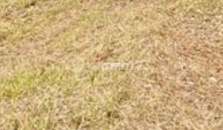 Land, Freehold Title, in Karang Joang,