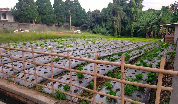 Murah Tanah Siap Bangun Di Sayap Setiabudhi , Bandung Dekat Lembang 1