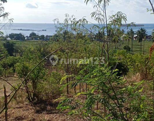 Tanah Strategis di Sekotong Barat Perbukitan View Pantai Sekotong 2