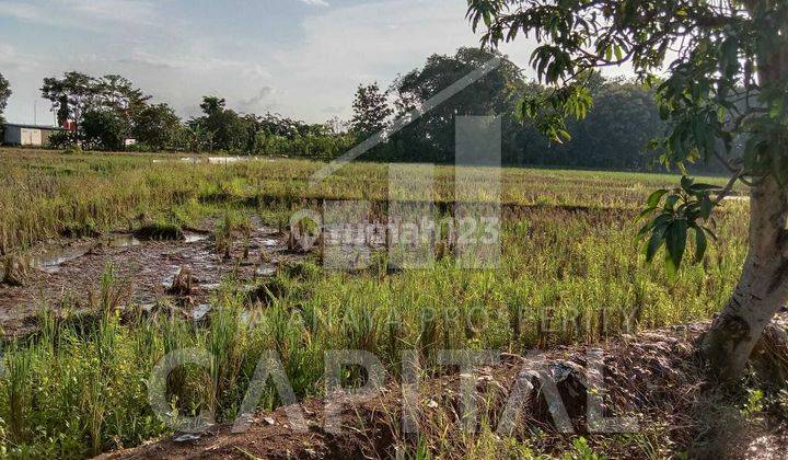 Tanah Bisa Dibangun Komersil Lokasi Dekat Pintu Keluar/Masuk Tol Kertajati 1