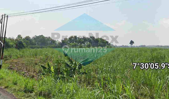 Dijual Lahan Industri Nganjuk 2