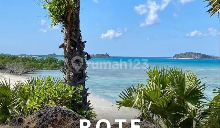Tanah Beach Front Di Pulau Rote Pantai Sanama