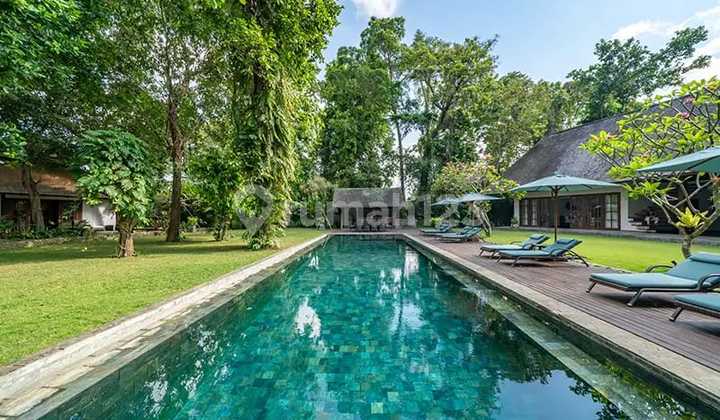 Villa Mewah Dengan Lingkungan Hutan Tropis Di Kerobokan Bali